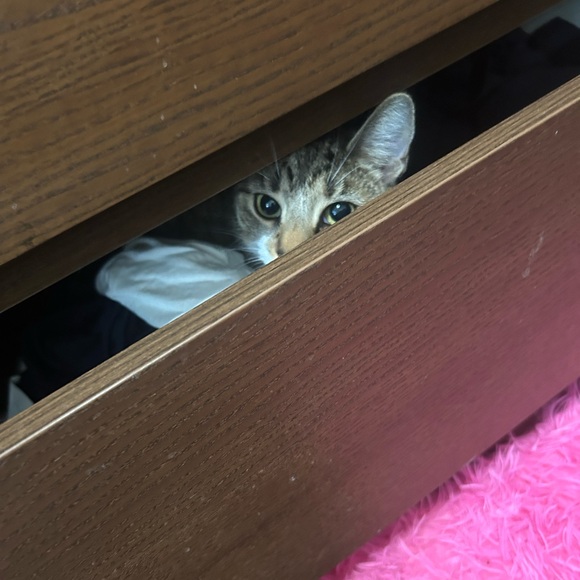 Meet your Posher, Dee - Picture 4 of 8